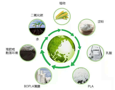2025年,全球生物基聚合物產(chǎn)量預(yù)計達到近7百萬噸