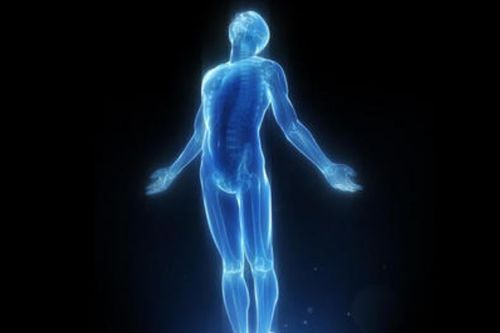 人體腳骨骨骼一共有多少塊