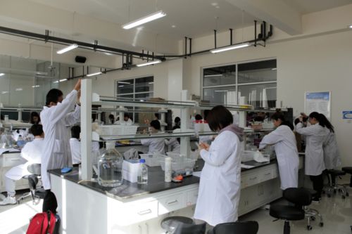 內(nèi)蒙古大學生物科學入選教育部基礎學科拔尖學生培養(yǎng)計劃2.0基地