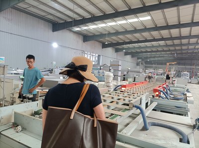 生物基可降解高分子木塑復(fù)合材料技術(shù)開發(fā)咨詢服務(wù)