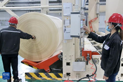 黑龍江大慶打造生物基新材料產(chǎn)業(yè)基地