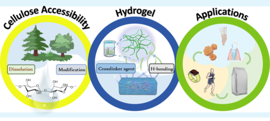 【學(xué)術(shù)進(jìn)展】新疆農(nóng)業(yè)大學(xué)李君副教授發(fā)表纖維素溶解、改性及材料調(diào)控的綜述