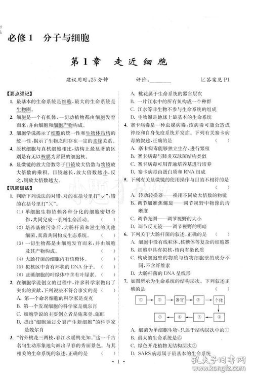 夯實基礎(chǔ)，高效備考——評《恩波小題狂做·生物高考最基礎(chǔ)篇》
